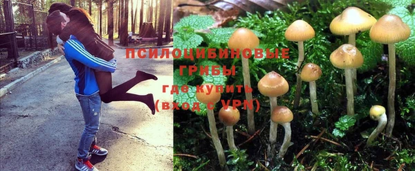 винт Беломорск