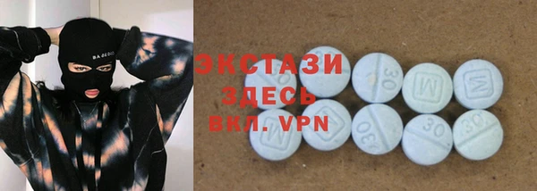 мдпв Богородицк