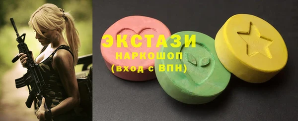мдпв Богородицк