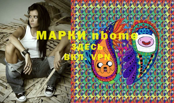 мдпв Богородицк